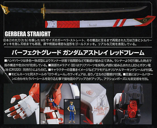 PG Gundam Astray Red Frame