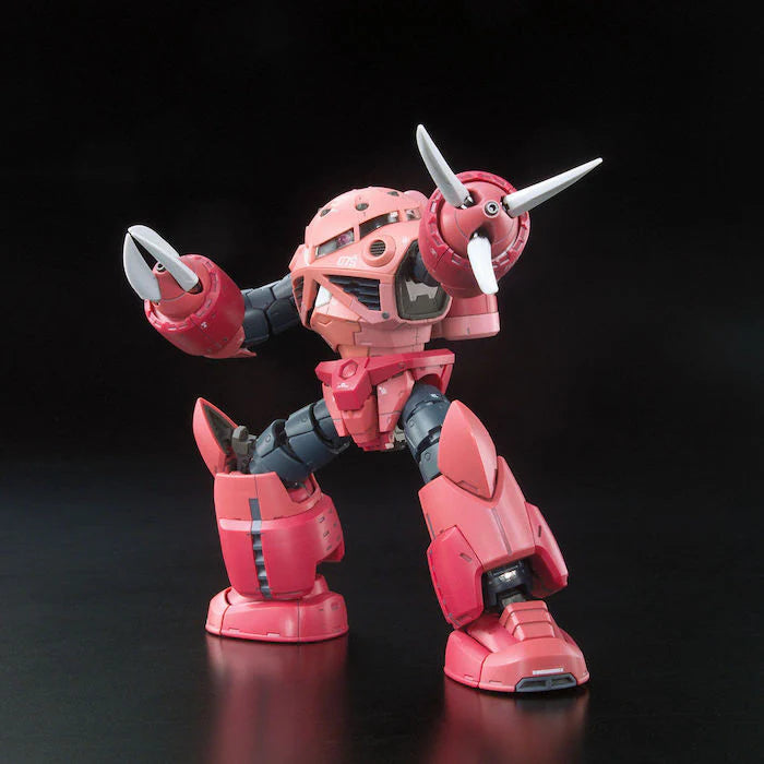 RG 1/144 Zgok Char Custom