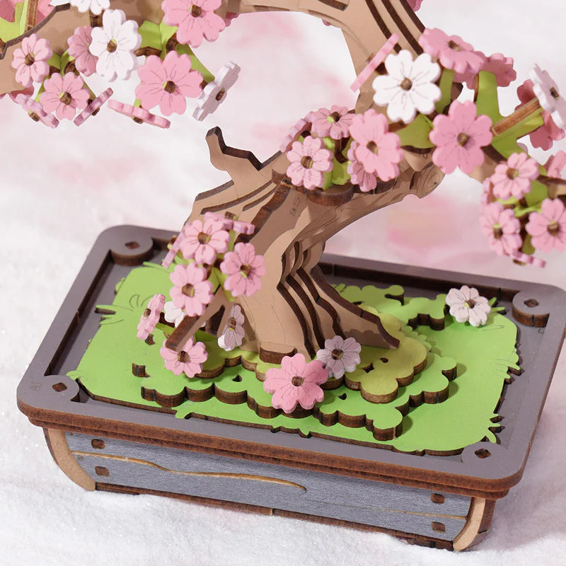 Sakura Bonsai DIY Kit TG415