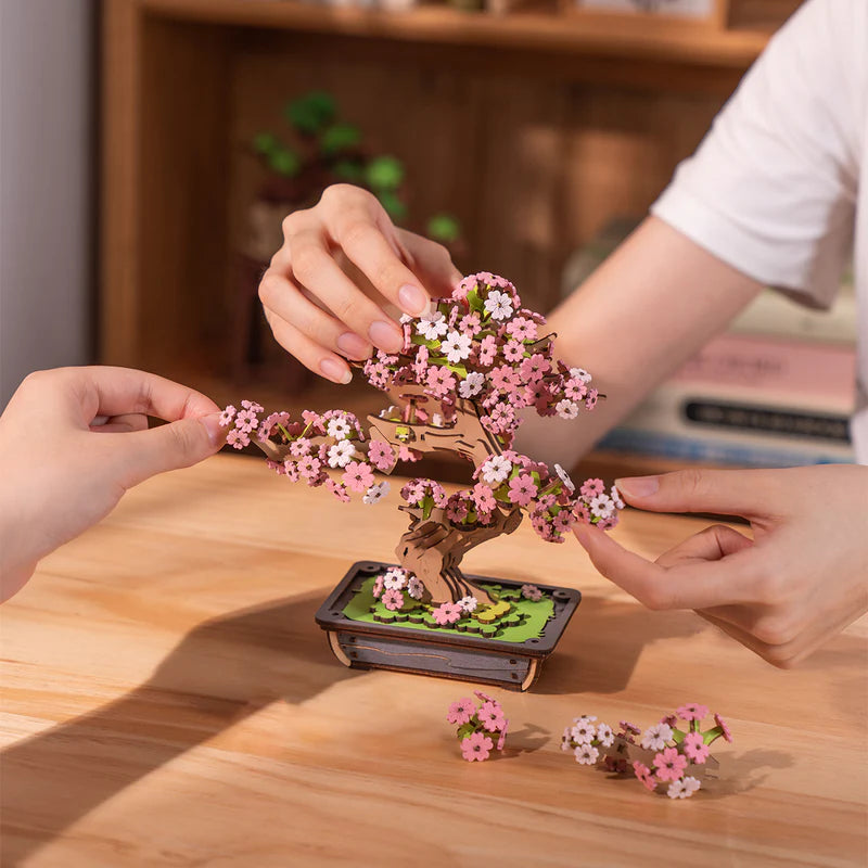 Sakura Bonsai DIY Kit TG415
