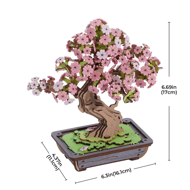 Sakura Bonsai DIY Kit TG415