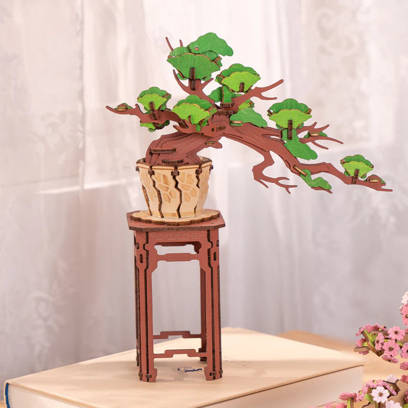 Evergreen Bonsai DIY Kit TG510