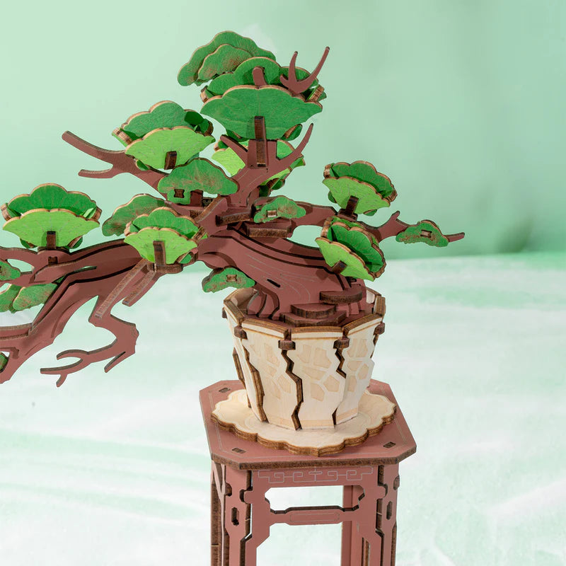 Evergreen Bonsai DIY Kit TG510