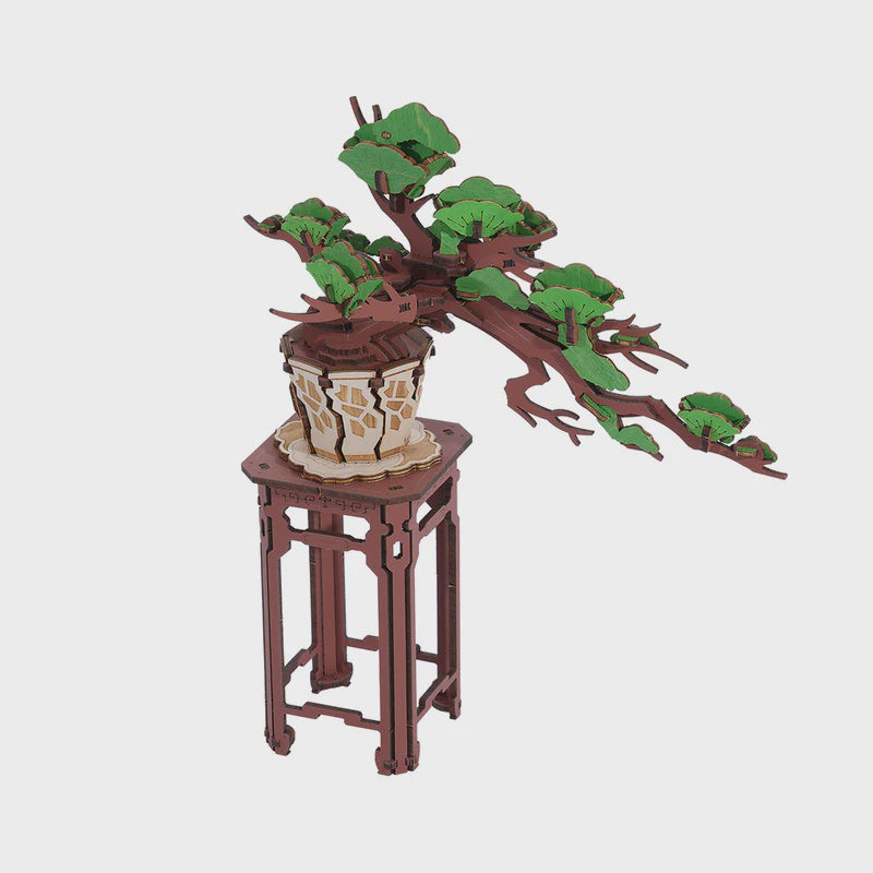 Evergreen Bonsai DIY Kit TG510
