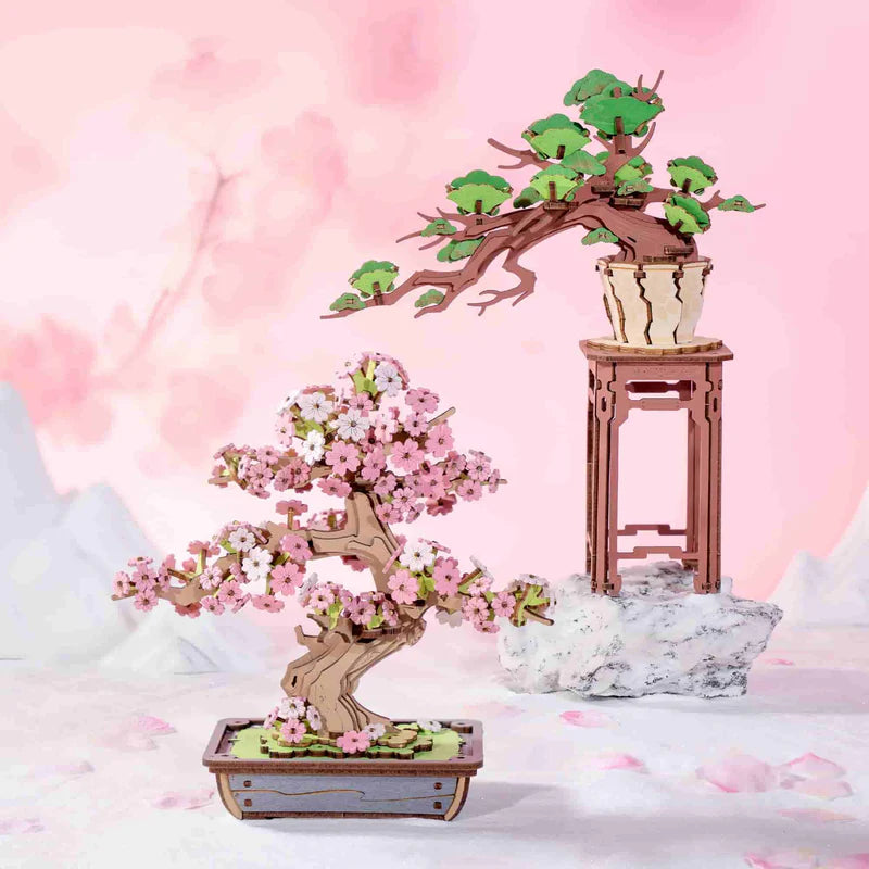 Sakura Bonsai DIY Kit TG415