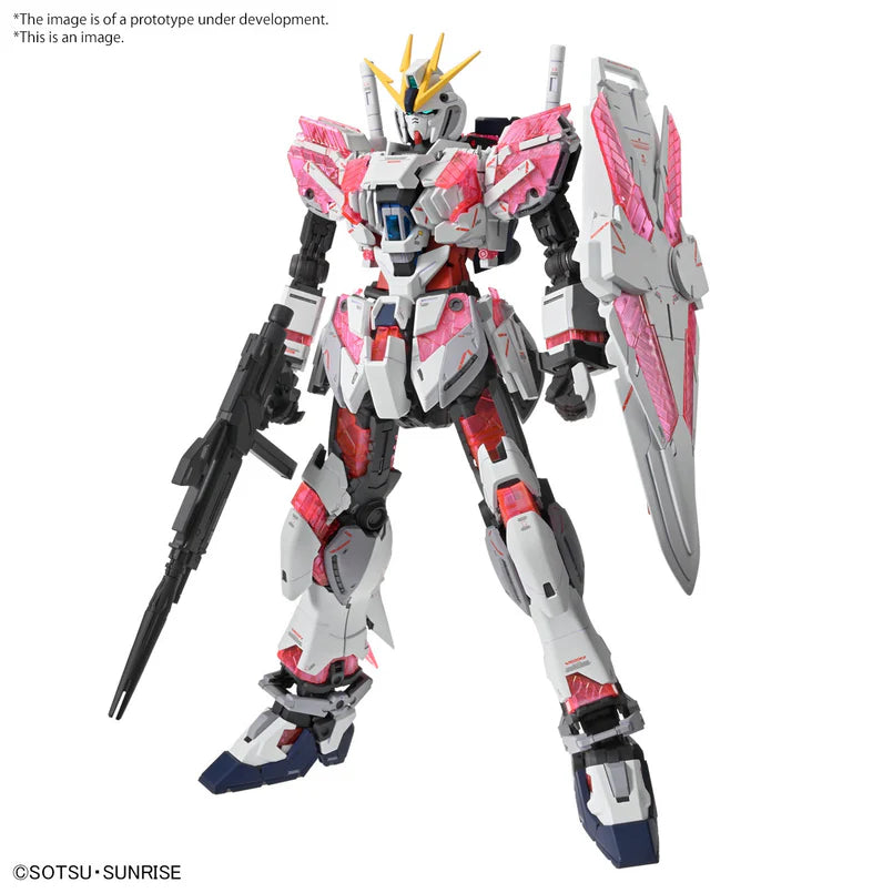 MG 1/100 NARRATIVE GUNDAM C-PACKS Ver.Ka