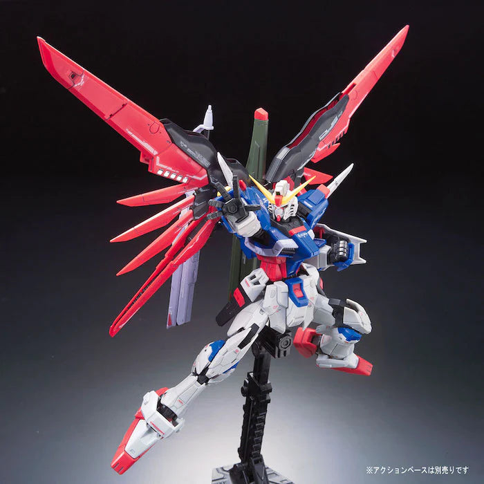 RG 1/144 #11 Destiny Gundam