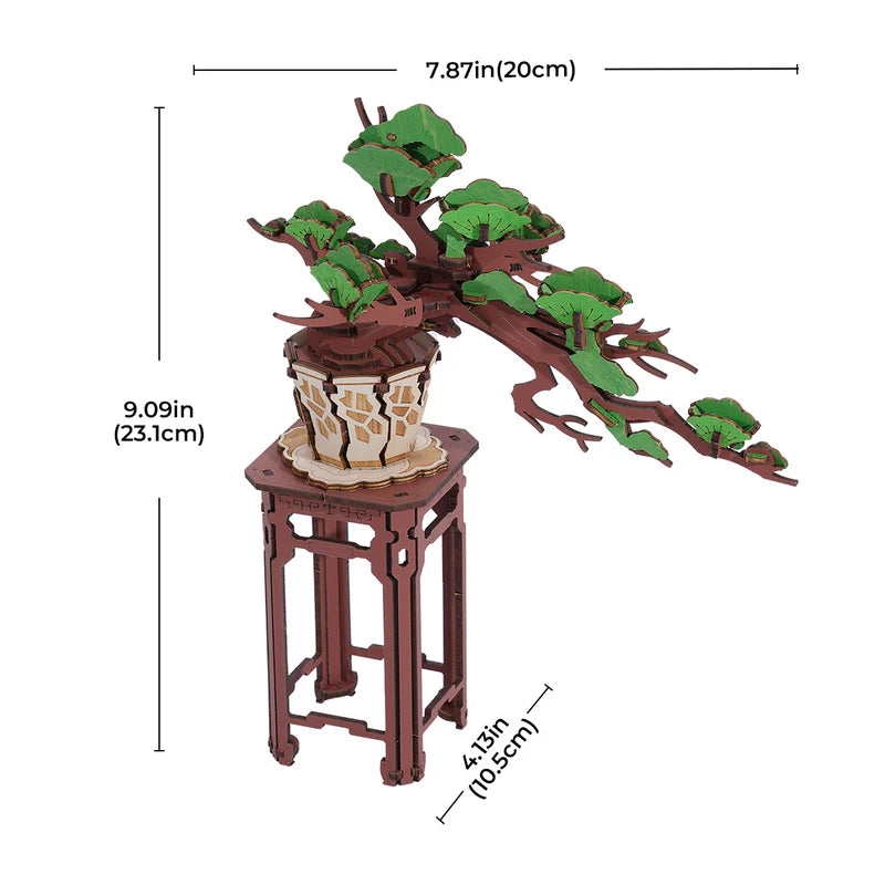 Evergreen Bonsai DIY Kit TG510